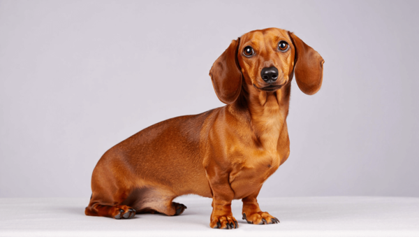 d07e9d59-9033-4903-a9a7-a69a1fc9f79d.png